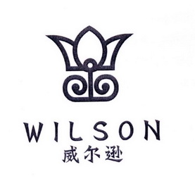 威尔逊 wilson