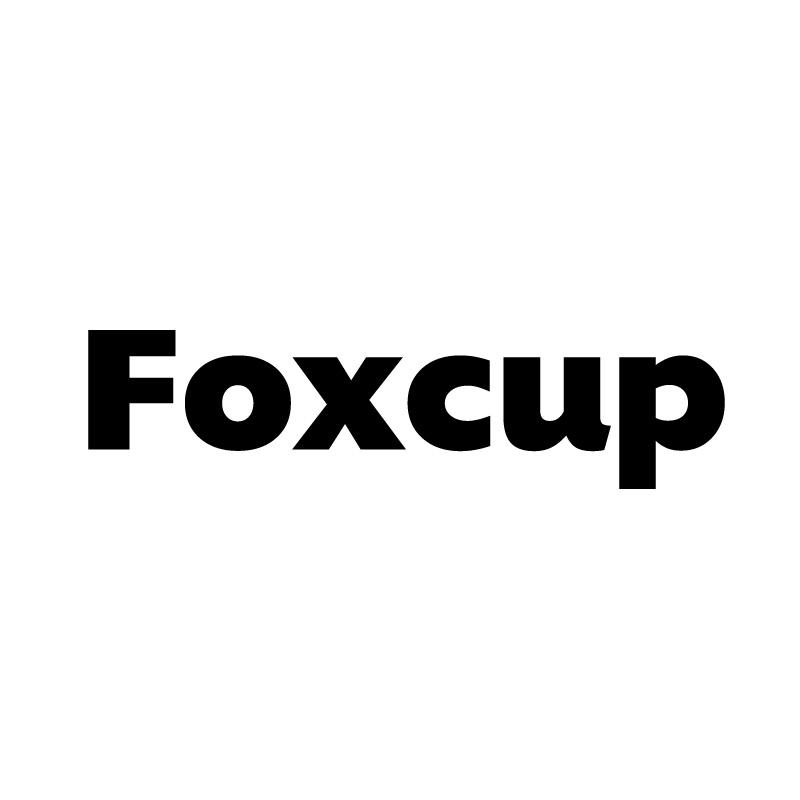 茶杯狐foxcup图片