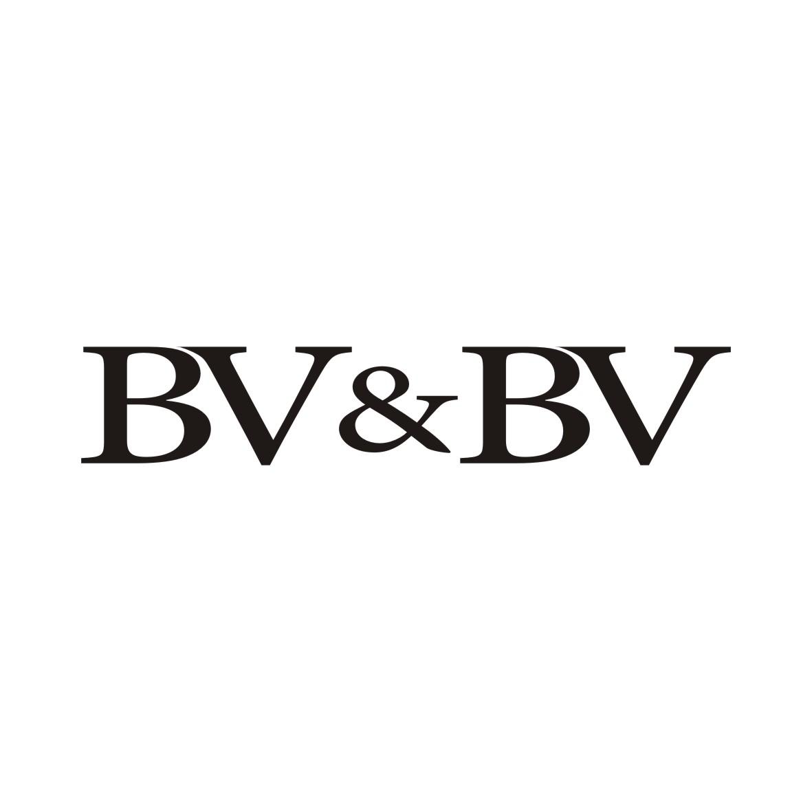 bv bright vision